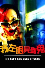 My Left Eye Sees Ghosts (2002) BluRay 480p, 720p & 1080p Mkvking - Mkvking.com