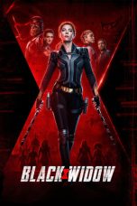 Black Widow (2021) IMAX WEB-DL 480p, 720p & 1080p Mkvking - Mkvking.com